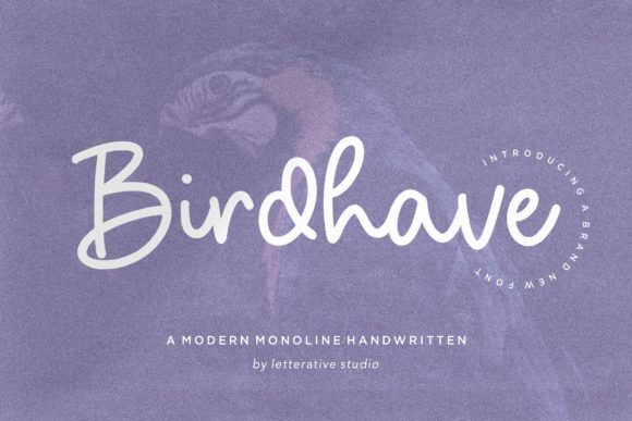 Birdhave: A Font for Creative Campaigns