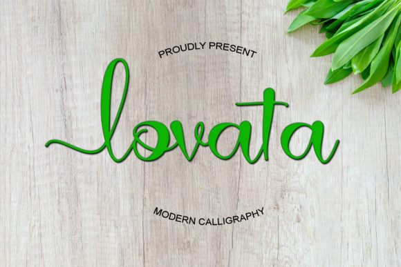 Review: Lovata Script Amp