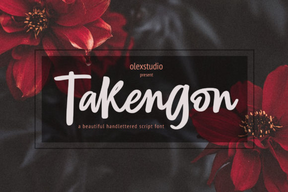 Takegon: A Script Amp Review
