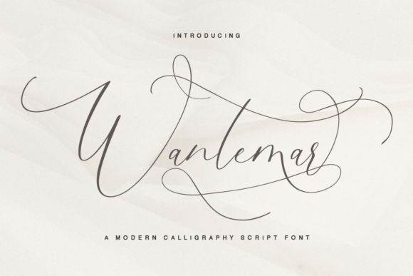 Wantemar: Elegant Handwritten Font